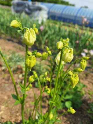 김광수님의 자유주제 · 자유게시판 작성글 사진