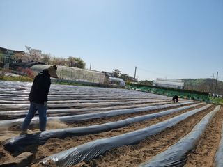 춘장대님의 자유주제 · 자유게시판 작성글 사진