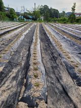 팜모닝 자유주제·사진전 게시글 이미지