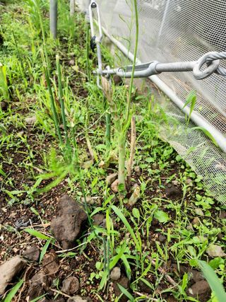 제주부자팜님의 자유주제 · 자유게시판 작성글 사진