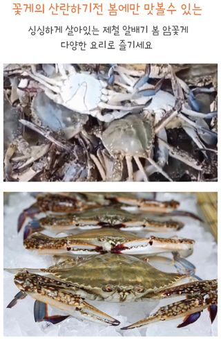 농수사님의 작성글 사진