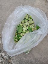 팜모닝 자유주제·자유게시판 게시글 이미지