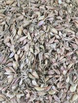 팜모닝 자유주제·자유게시판 게시글 이미지