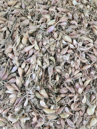 이준우님의 자유주제 · 자유게시판 작성글 사진