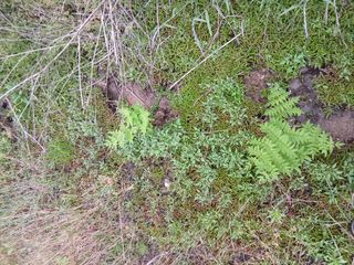 무료지식나눔 팜닥터님의 자유주제 · 자유게시판 작성글 사진