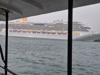 산양삼님의 자유주제 · 자유게시판 작성글 사진