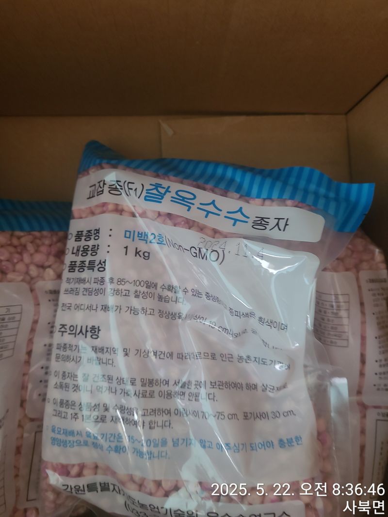 장터 상품 [미백2호 찰옥수수 종자] 썸네일