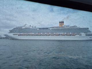 산양삼님의 자유주제 · 자유게시판 작성글 사진