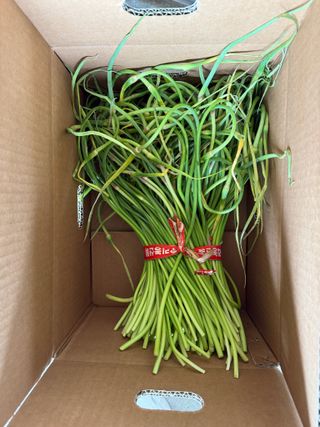 이영민님의 작성글 사진