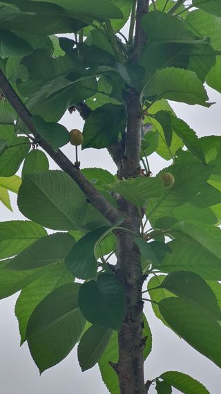 노한수님의 자유주제 · 자유게시판 작성글 사진