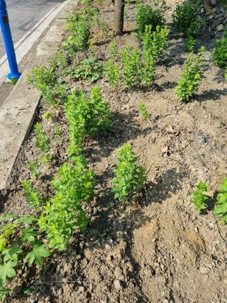 김용대님의 자유주제 · 자유게시판 작성글 사진