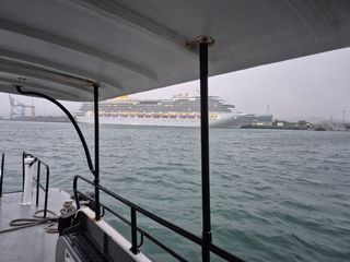 산양삼님의 자유주제 · 자유게시판 작성글 사진