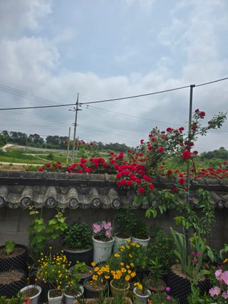 자연인님의 자유주제 · 자유게시판 작성글 사진