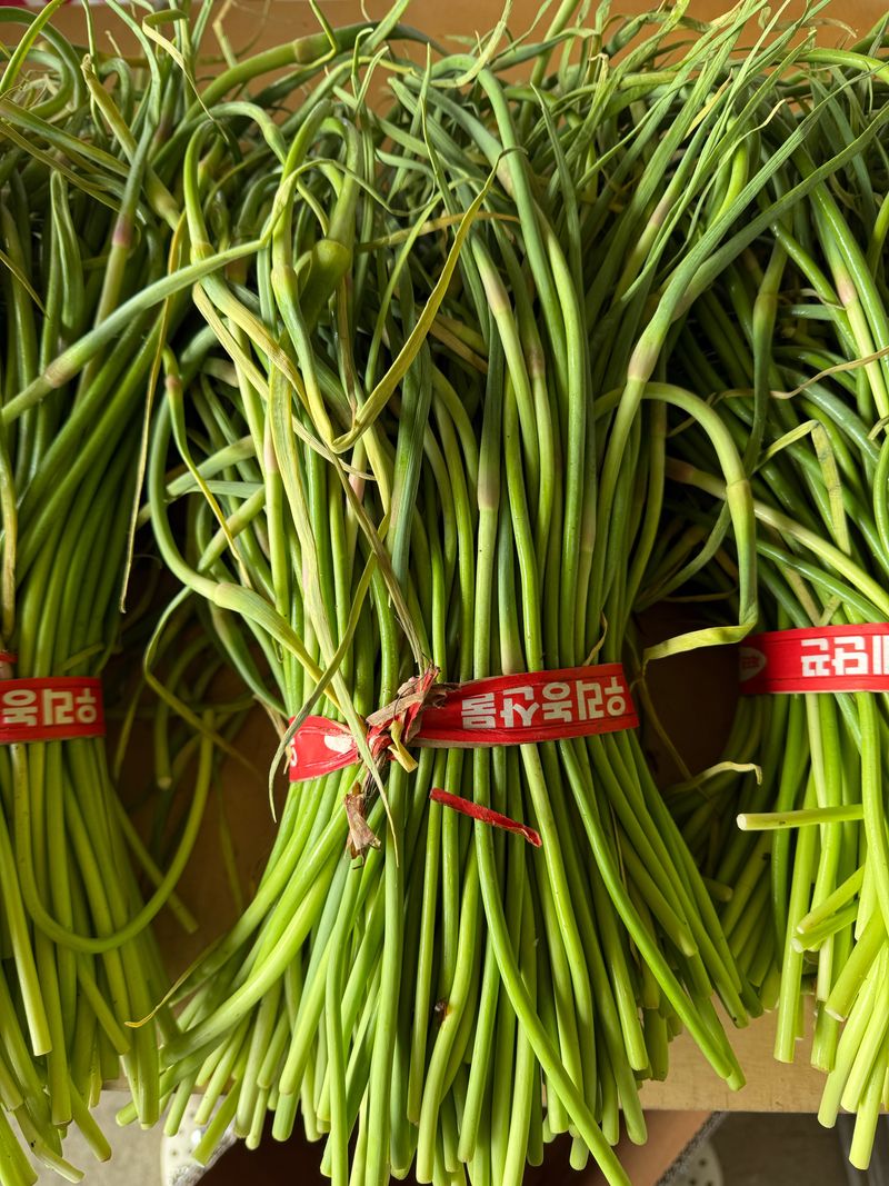 장터 상품 [무안 마늘쫑 1kg] 썸네일