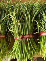 팜모닝 · 게시글 이미지