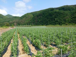 콩나라최여순님의 자유주제 · 자유게시판 작성글 사진