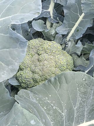 진동희님의 자유주제 · 자유게시판 작성글 사진