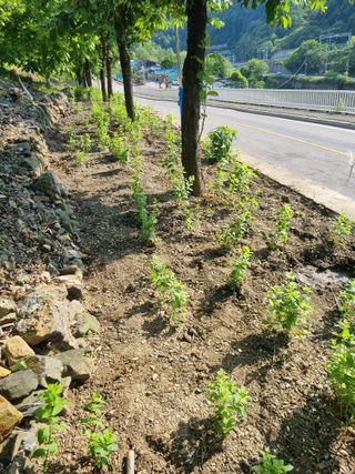 김용대님의 자유주제 · 자유게시판 작성글 사진