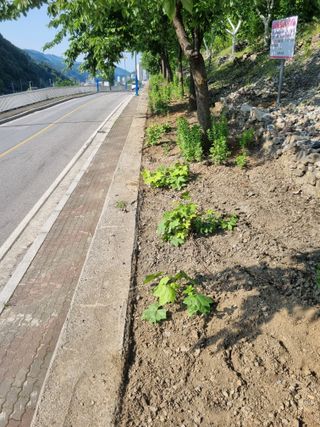 김용대님의 자유주제 · 자유게시판 작성글 사진