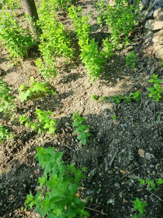 김용대님의 자유주제 · 자유게시판 작성글 사진