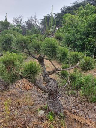 알 수 없음님의 자유주제 · 사진전 작성글 사진