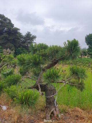 알 수 없음님의 자유주제 · 사진전 작성글 사진