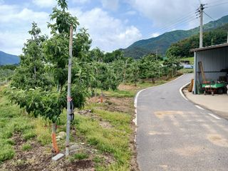 알 수 없음님의 자유주제 · 자유게시판 작성글 사진