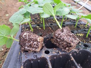 박정규님의 자유주제 · 자유게시판 작성글 사진