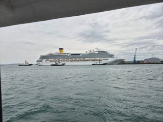 산양삼님의 자유주제 · 자유게시판 작성글 사진