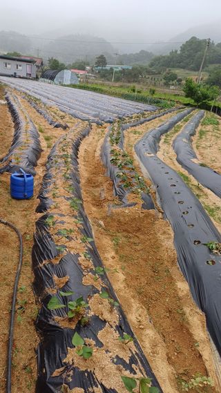 박순덕님의 자유주제 · 자유게시판 작성글 사진