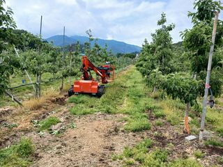 알 수 없음님의 자유주제 · 자유게시판 작성글 사진