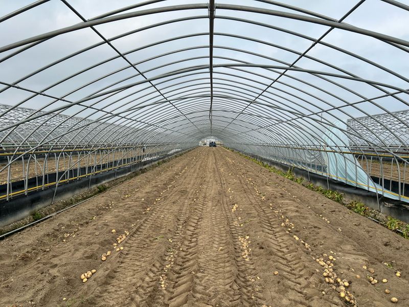 최선호님의 장터 판매 상품 [중고하우스파이프 31.8mm 25.4mm] 첨부 사진