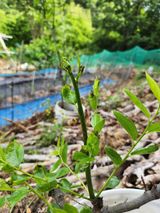 팜모닝 자유주제·자유게시판 게시글 이미지