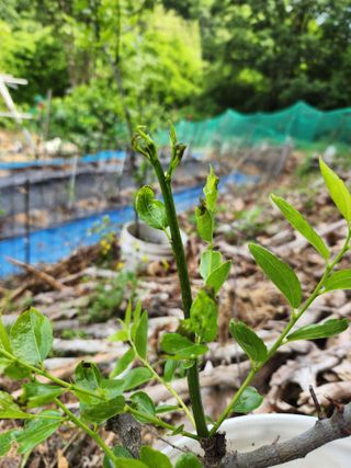 방희조님의 자유주제 · 자유게시판 작성글 사진