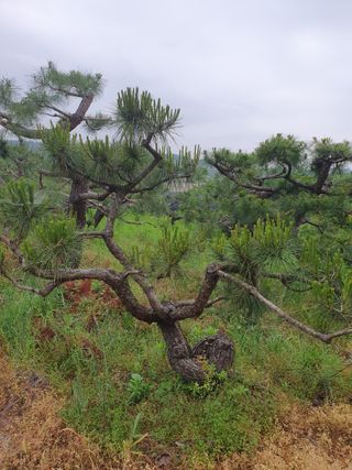 알 수 없음님의 자유주제 · 사진전 작성글 사진