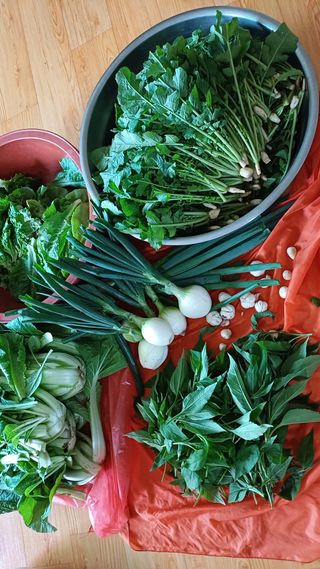 박순덕님의 자유주제 · 자유게시판 작성글 사진