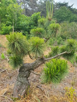 알 수 없음님의 자유주제 · 사진전 작성글 사진