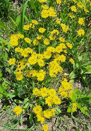 고추건조기부품판매님의 자유주제 · 자유게시판 작성글 사진