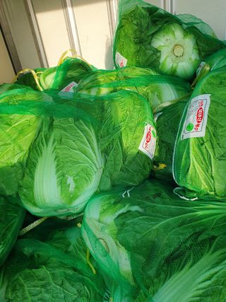 장정구님의 작성글 사진