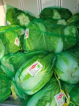 팜모닝 · 게시글 이미지