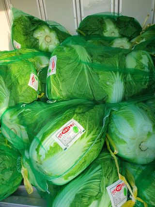 장정구님의 작성글 사진