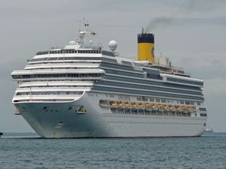 산양삼님의 자유주제 · 자유게시판 작성글 사진