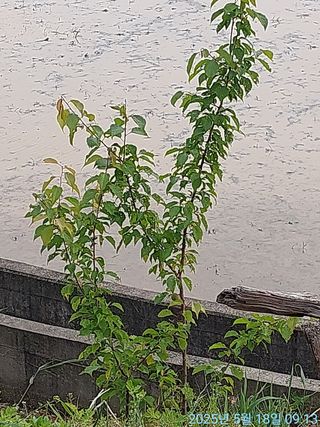 황대헌님의 자유주제 · 자유게시판 작성글 사진