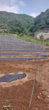 팜모닝 자유주제·자유게시판 게시글 이미지