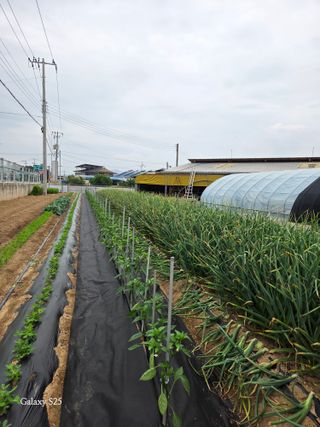 김시내 님의 자유주제 · 사진전 작성글 사진