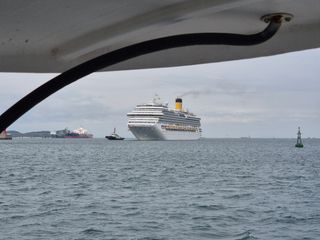 산양삼님의 자유주제 · 자유게시판 작성글 사진