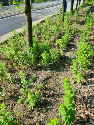 김용대님의 자유주제 · 자유게시판 작성글 사진