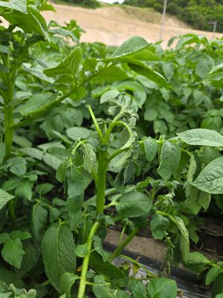 친환경아줌아님의 자유주제 · 자유게시판 작성글 사진