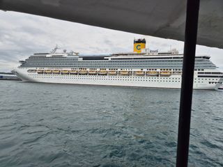 산양삼님의 자유주제 · 자유게시판 작성글 사진