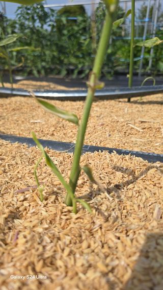 하재은님의 자유주제 · 자유게시판 작성글 사진